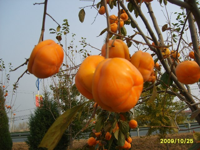 wKgBm04ThW2LKhIDAAIbYZsKp-o53.jpeg?imageView2%2F2%2Fw%2F600%2Fq%2F90%7CimageMogr2%2Fstrip%2Fquality%2F90