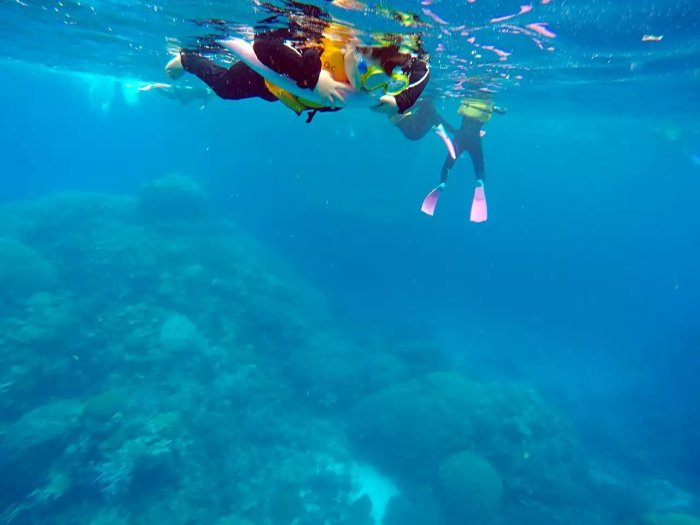 咨询澳大利亚 大堡礁 怎么去,安排几天玩合适?