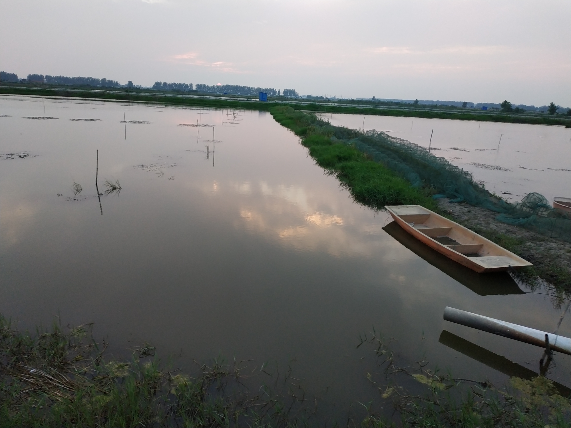 洪湖市新滩的人口增加了吗_洪湖市新滩镇图片