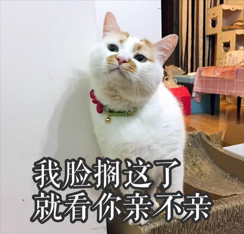 wKgBZ1odeVeASxZTAAH4yrYpxmI99.jpeg?imageView2%2F2%2Fw%2F600%2Fh%2F600%2Fq%2F90