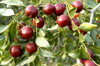 去敦煌最佳的季节是什么时候?