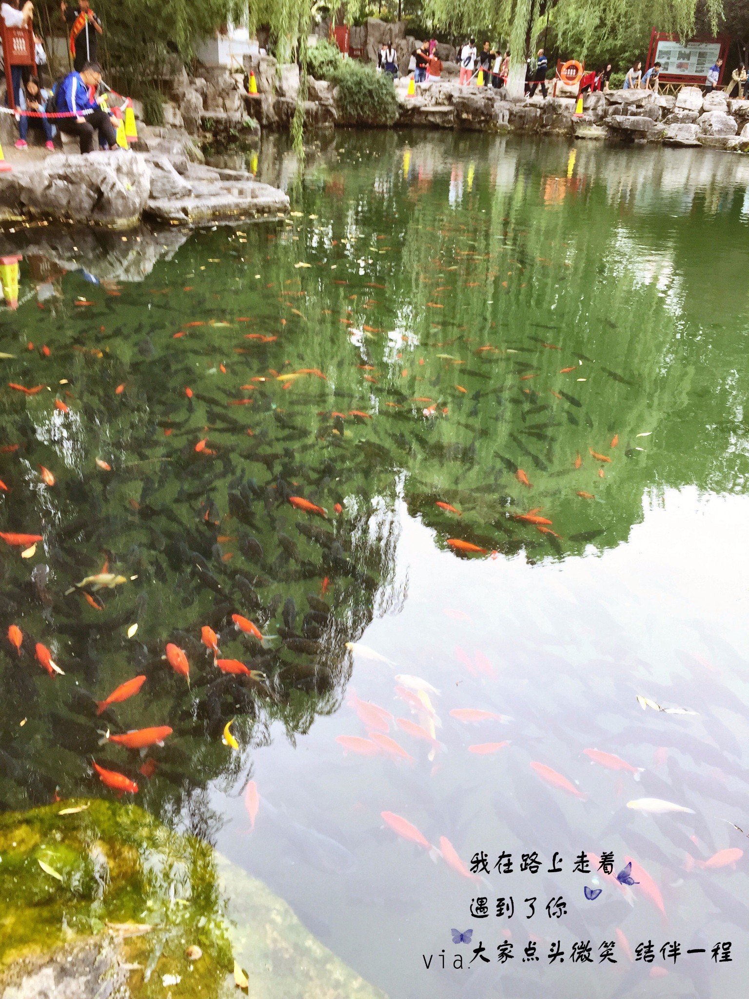 突泉人口_突泉一中图片(3)