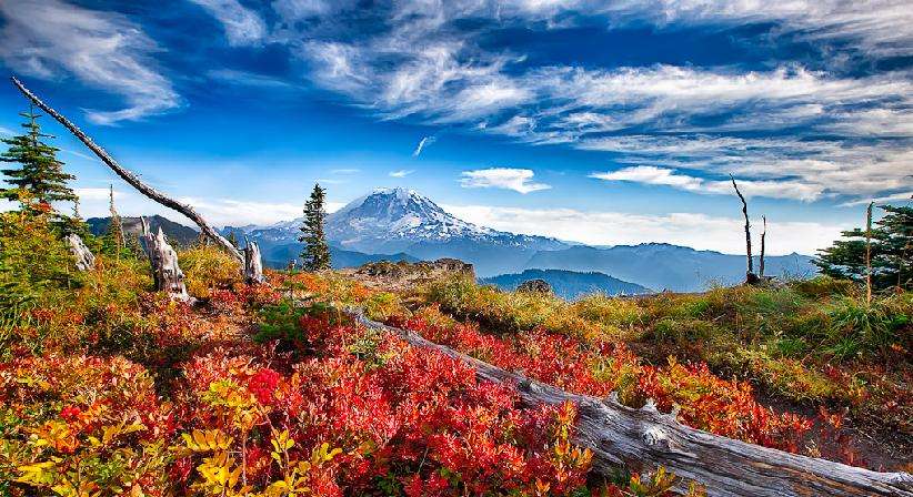 西雅图雷尼尔火山 一日游(克莉丝汀/那拉达/玛莎瀑布 冰川远眺 天堂