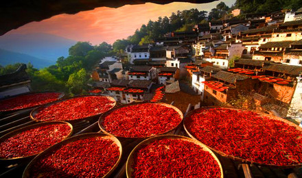 ������Դ���뾰���ٷ�������Ʊ������������Ʊ �涩���  ������԰��