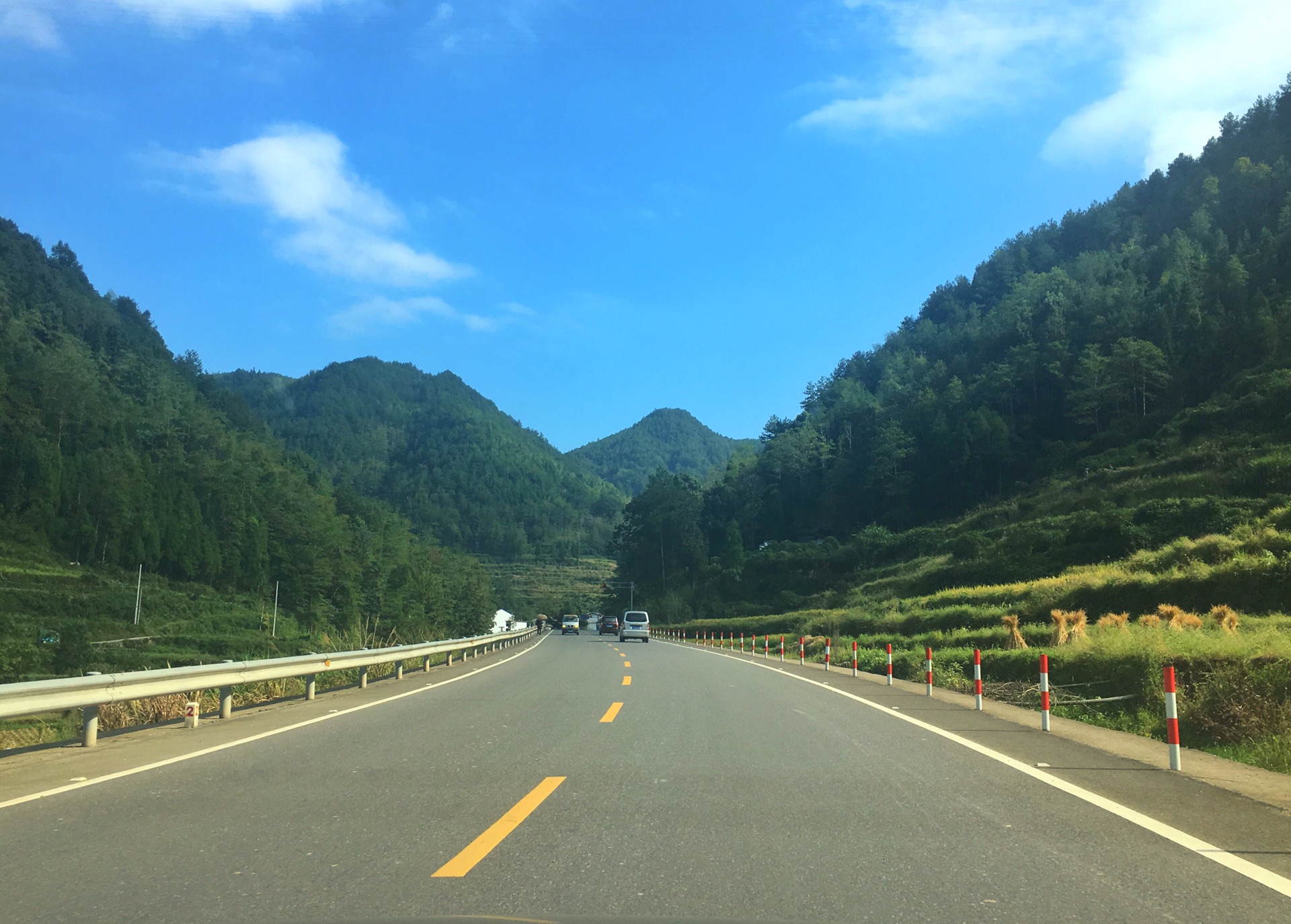 最美浙南一号公路,泰顺景宁文成山路行