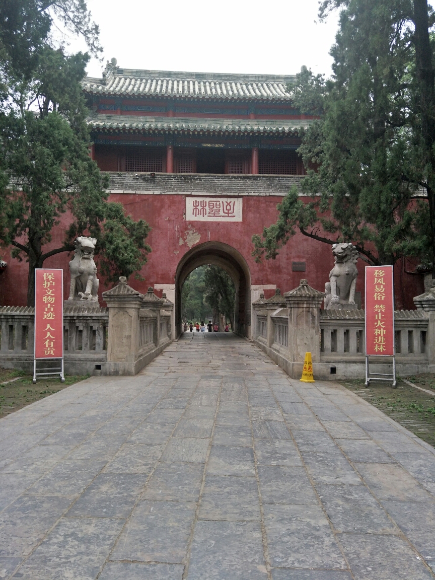 山东曲阜之孔林