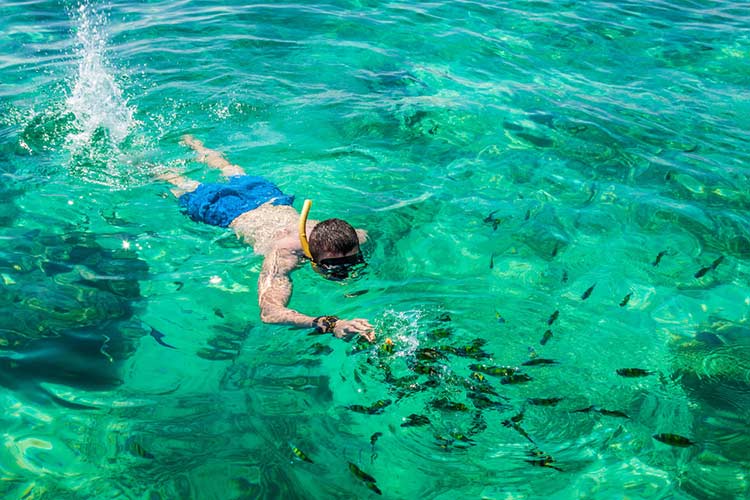 wKgBZ1kant-Aex5UAAEeWgHVrgc30.jpeg?imageView2%2F2%2Fw%2F510%2Fh%2F8000%2Fq%2F100