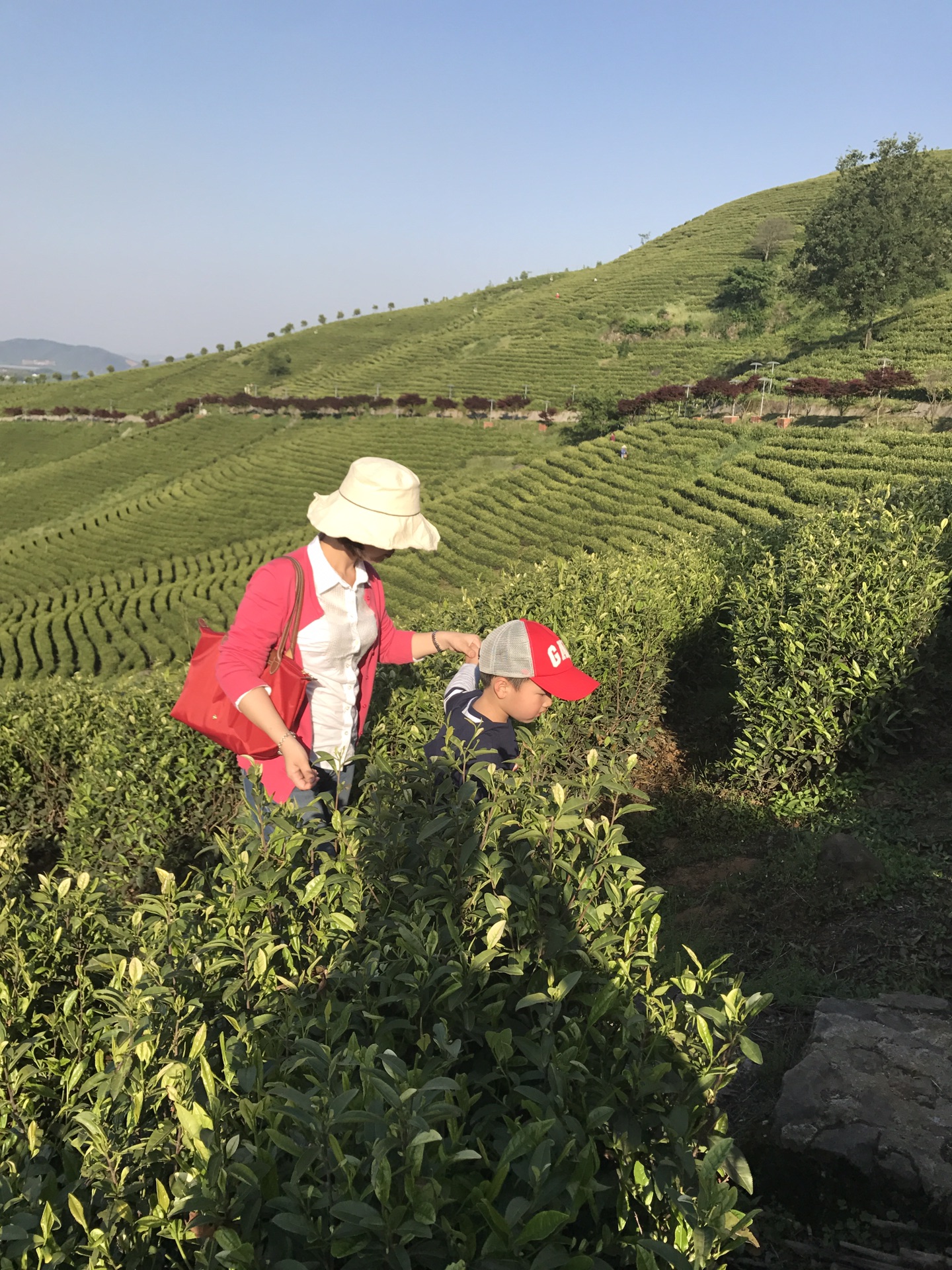 溧阳gdp2017_溧阳博物馆(3)