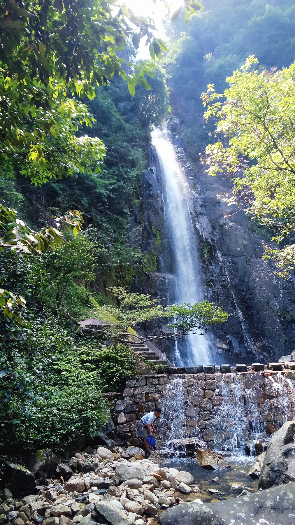 茶山经济总量_茶山竹海(2)