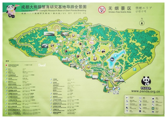 成都大熊猫繁育研究基地   图片