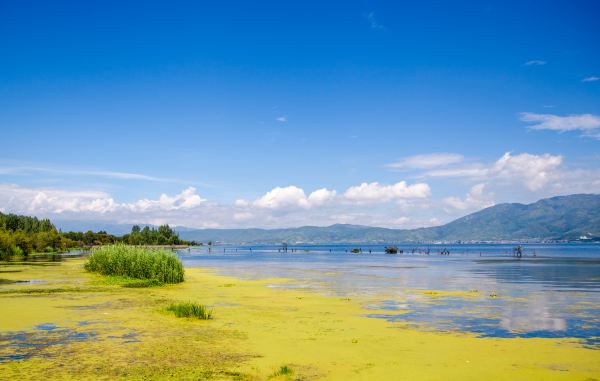 wKgBZ1uCc7OAVPjNAABxTk4UTUk92.jpeg?imageView2%2F2%2Fw%2F600%2Fh%2F600%2Fq%2F90