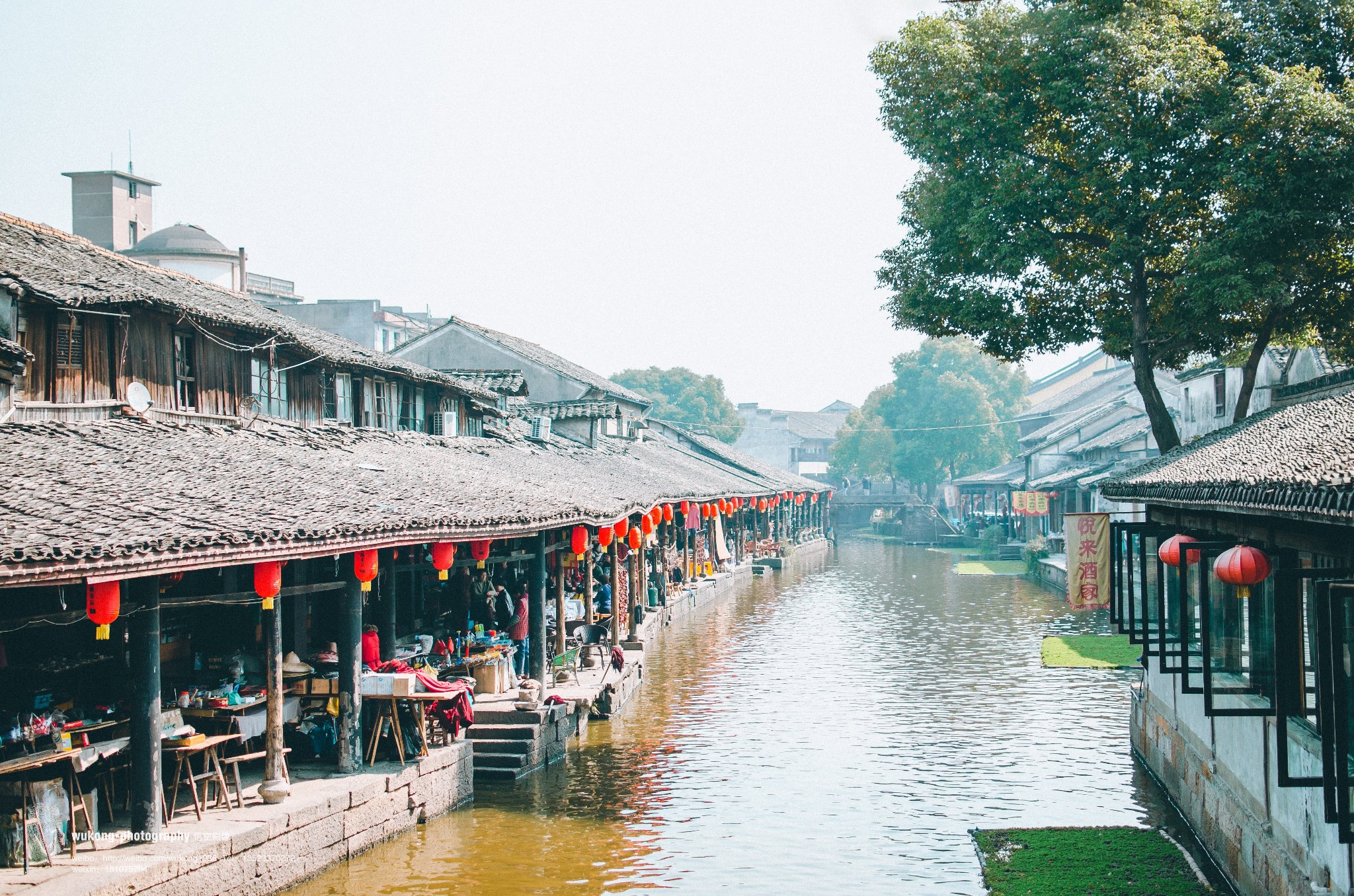 千里莺啼绿映红,水村山郭酒旗风/江南·春游记(安昌古镇)