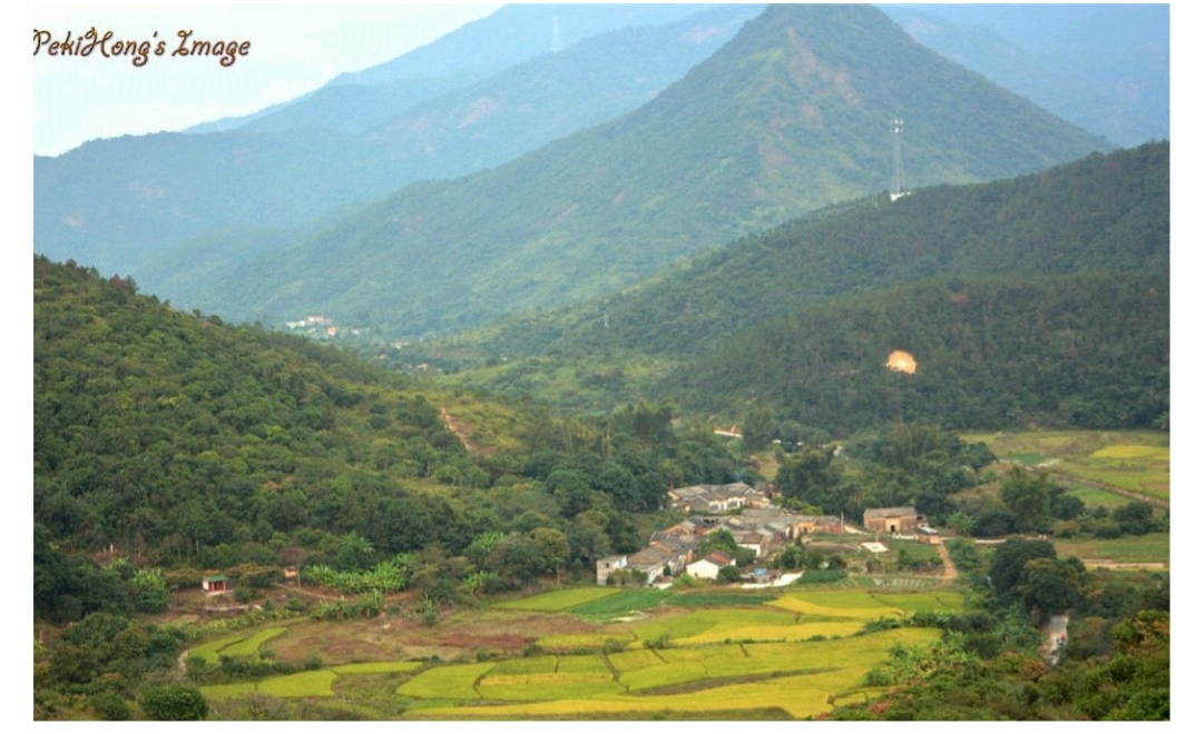 惠州九龙峰赏梯田吃农家乐