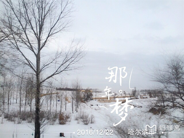 wKgBZ1i8B5eAXD_BAAGsXqODjOM38.jpeg?imageView2%2F2%2Fw%2F600%2Fh%2F600%2Fq%2F90