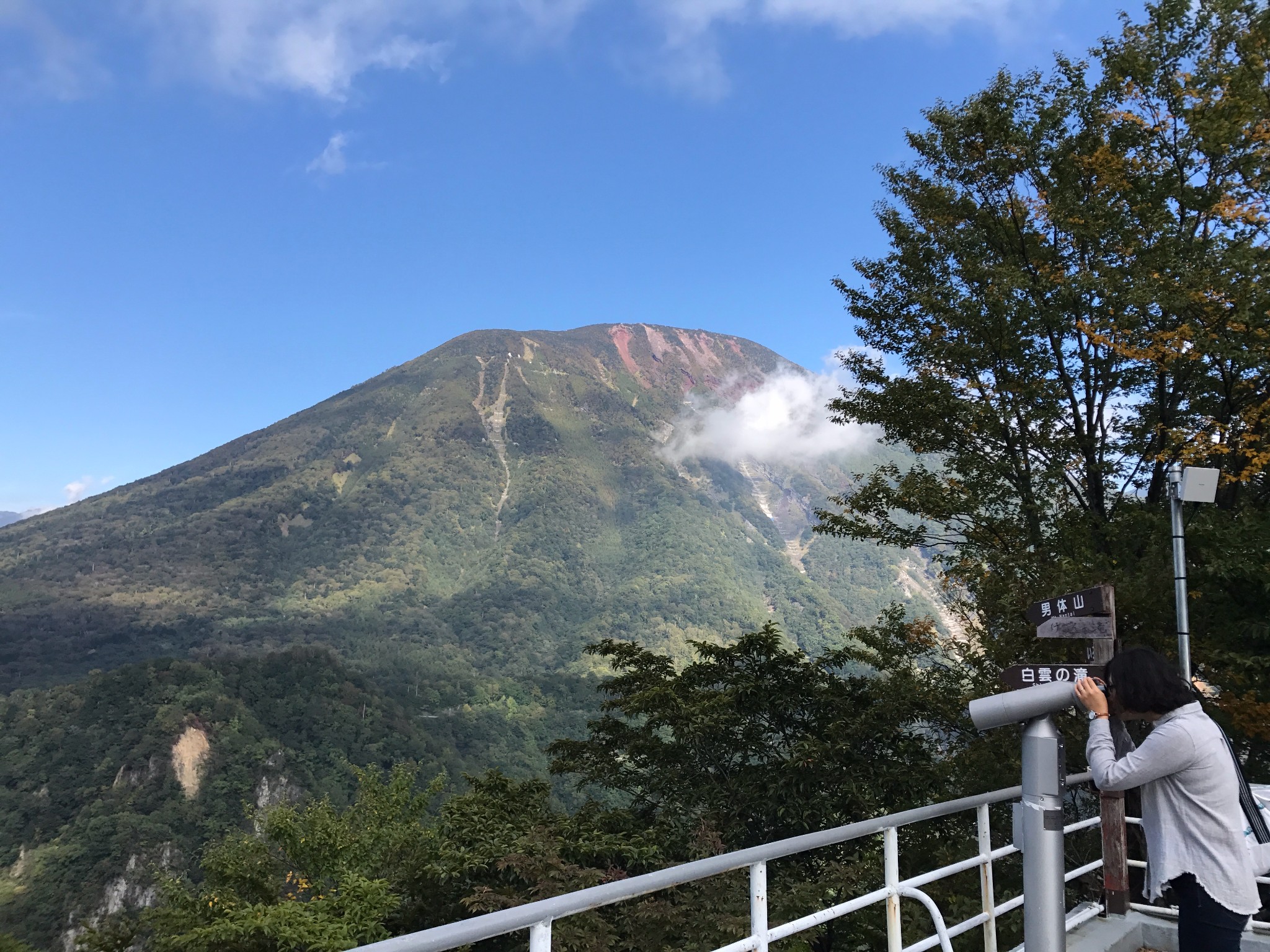 邸姓人口_0549 姓氏略考 邸姓(3)