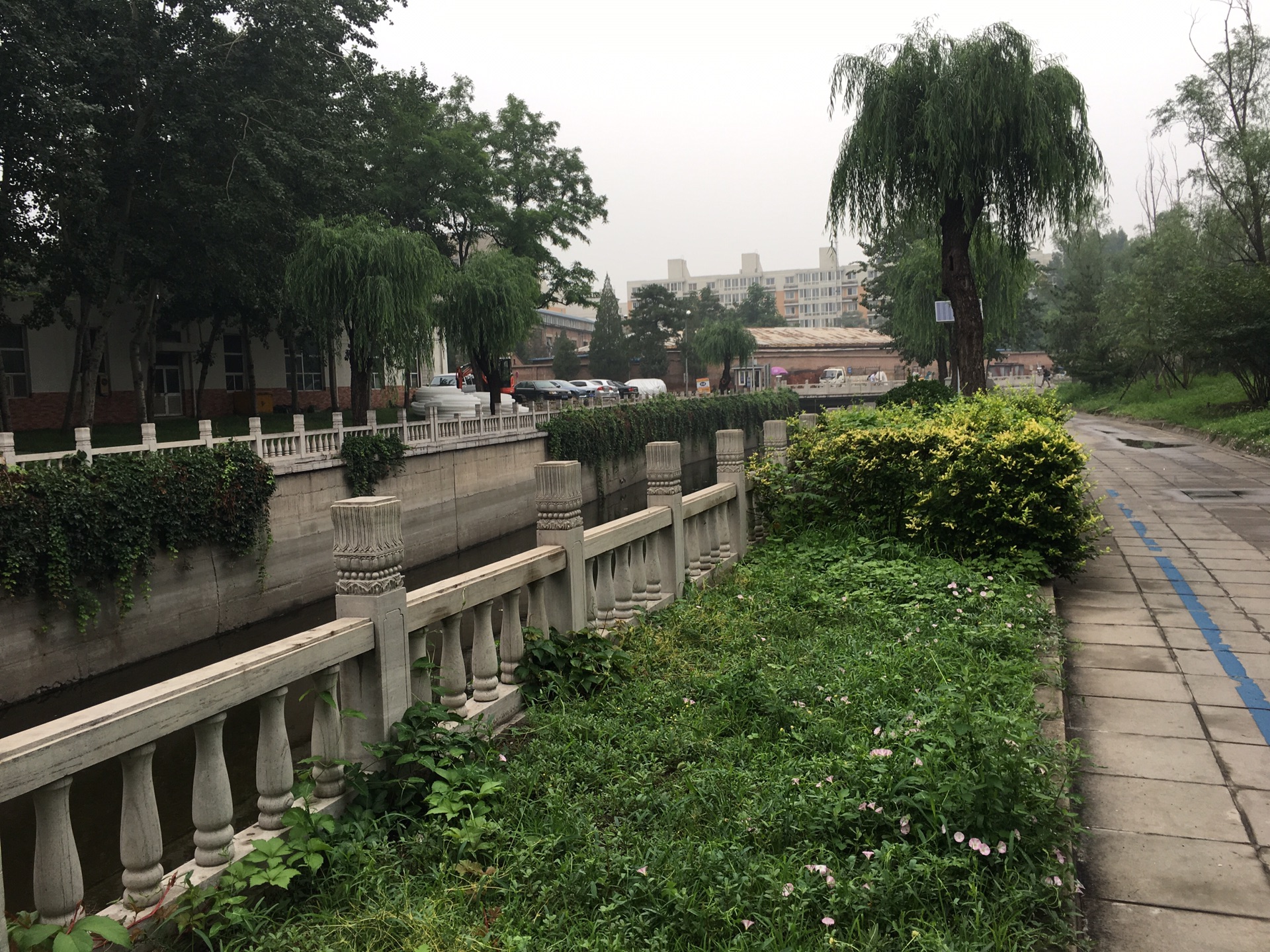 北京骑行_万泉河:一路向北到清河