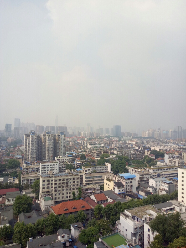 武汉总有人口_总有刁民想害朕(2)