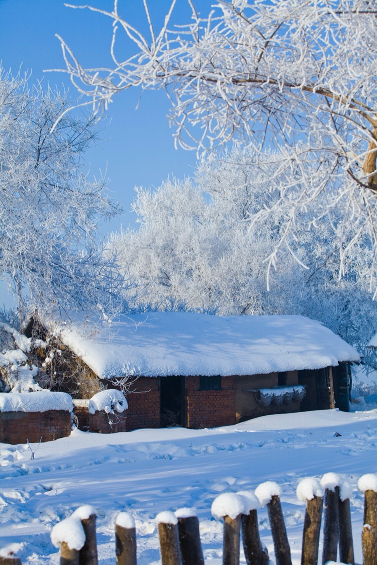 这个冬天想一个人去一趟北方看雪,有哪些便宜又美的景点推荐呢?