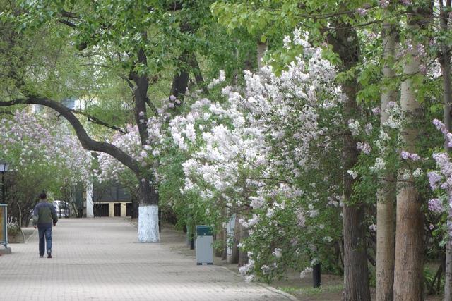 【原创】哈尔滨纪行——兆麟公园一瞥（组图）