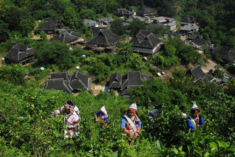 勐腊人口有多少_勐腊茶区有哪些山头(3)