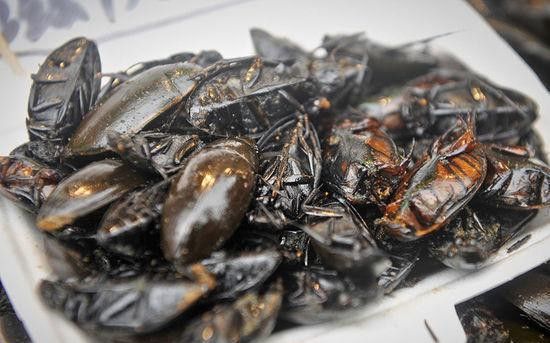 重口味钟村三宝,问你怕未?