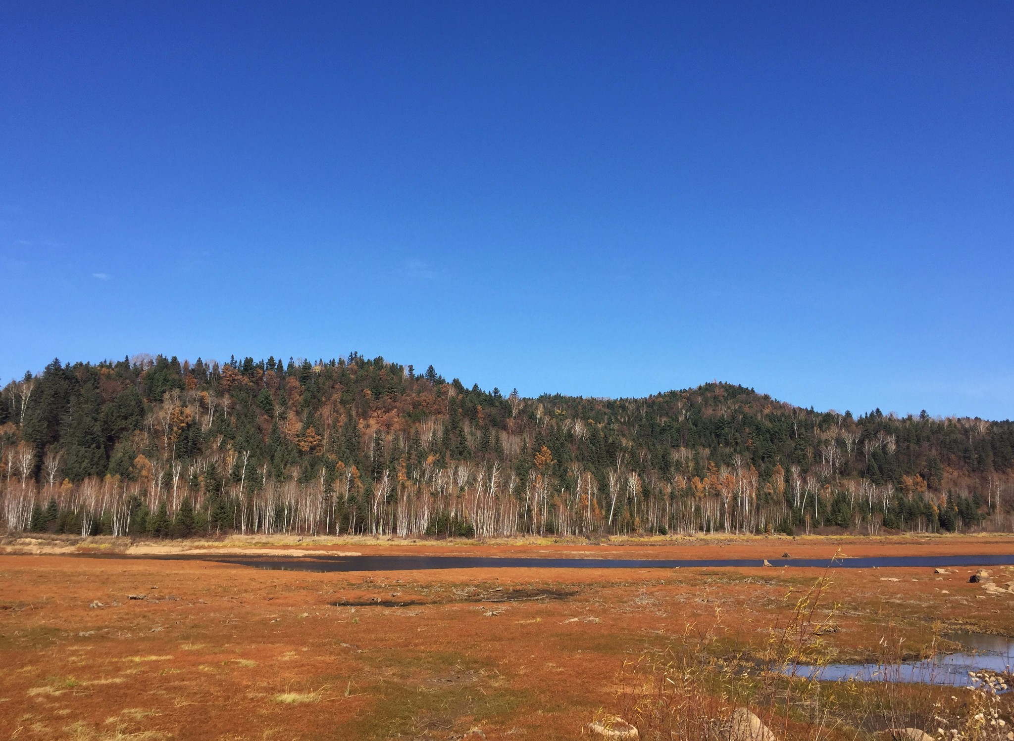 伊春多少人口_首届伊春自驾车旅游文化节引领自驾风向标,助推伊春十一自驾市(2)