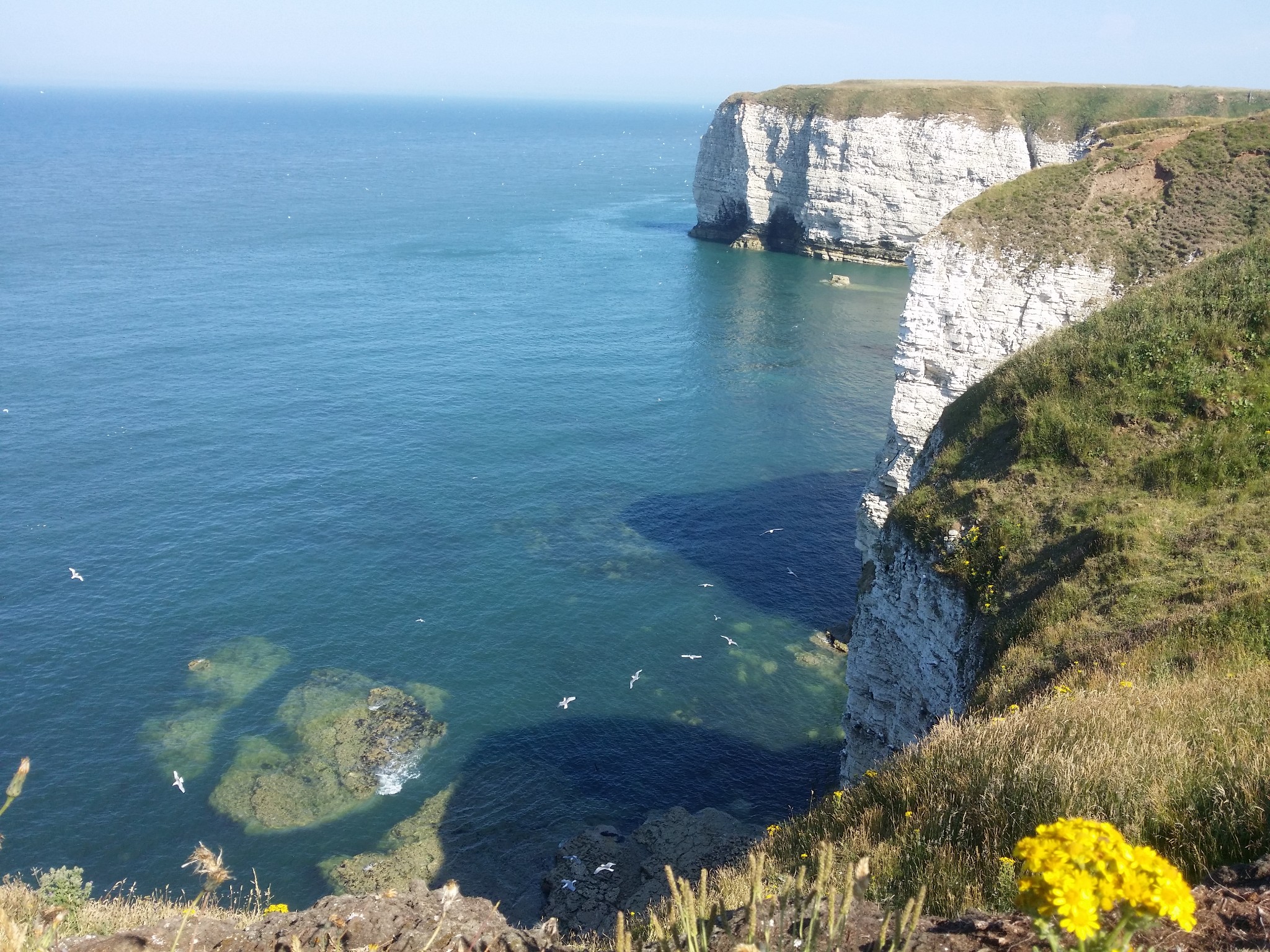 北约克郡的白色海岸悬崖弗兰堡flamborough