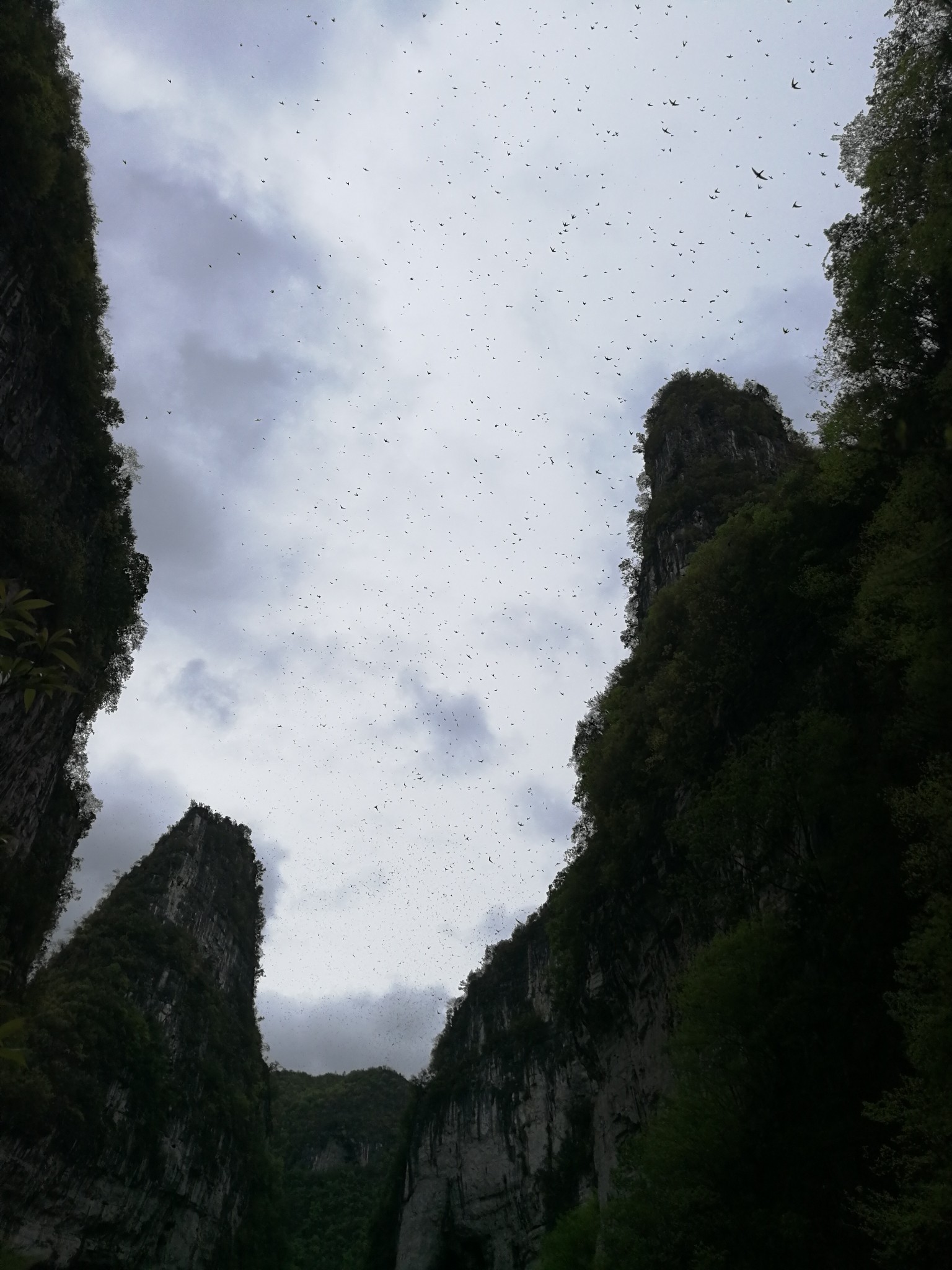 贵州奇观--中国最美的惠水羡塘燕子洞