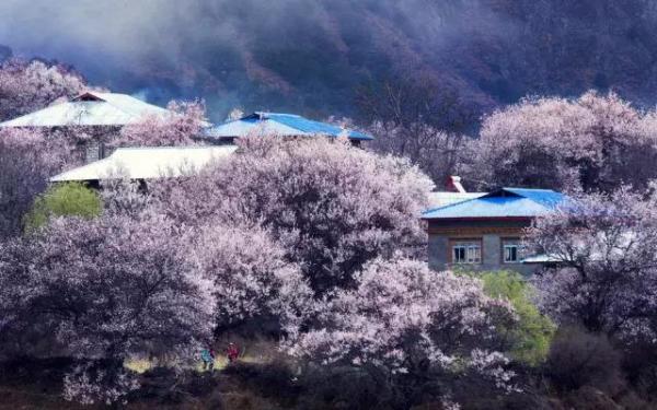 什么才叫真正的旅游 wKgBEFpWUKaAXAFnAAEDT-LFpFE16.jpeg?imageView2%2F2%2Fw%2F600%2Fh%2F600%2Fq%2F90