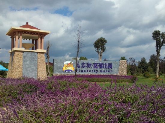 石林万家欢蓝莓庄园房车营地