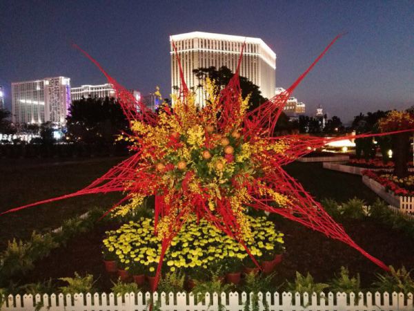 深圳到澳门一日游旅游攻略