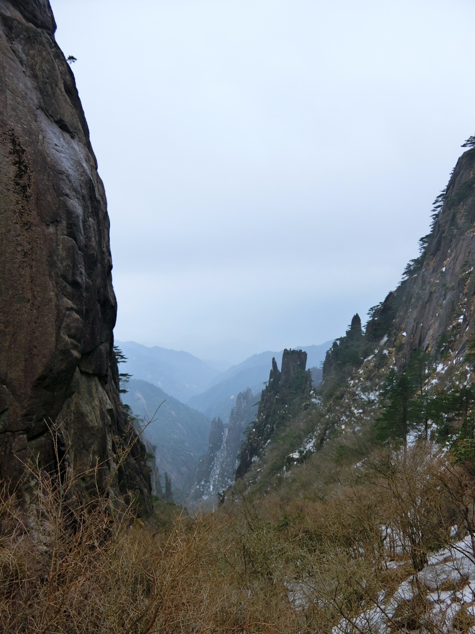 黄山市有多少人口_我的镜头里的黄山 一(3)