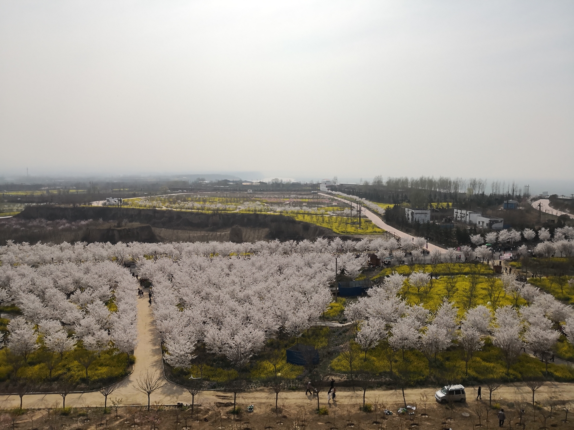郑州=荥阳孤柏渡飞黄景区丰乐樱花园,荥阳旅游攻略