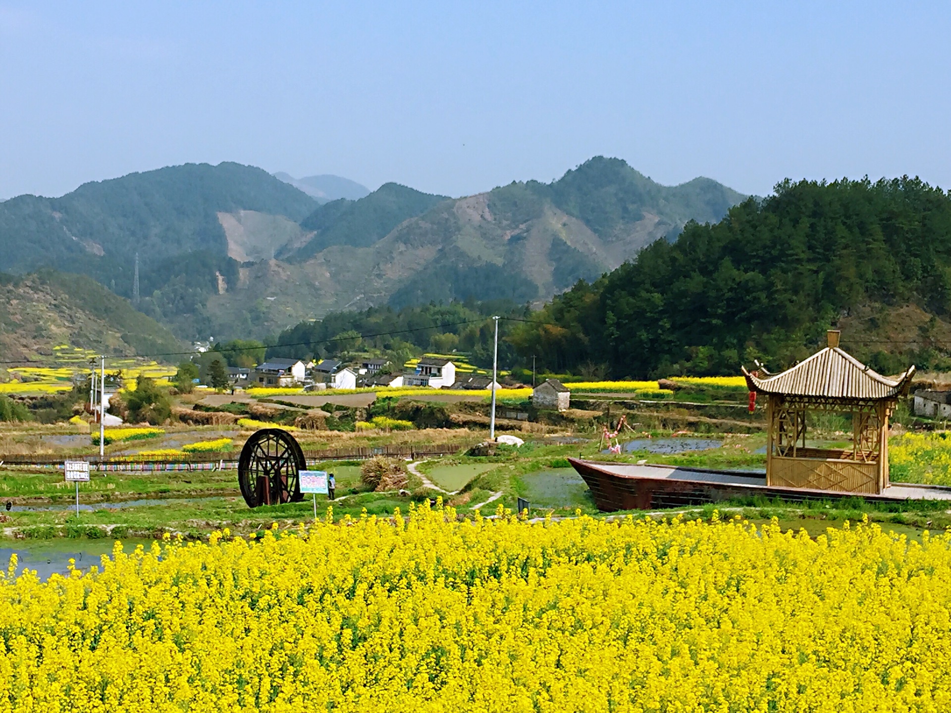 摄影小镇——家朋 赏花古村游,绩溪旅游攻略 - 马蜂窝