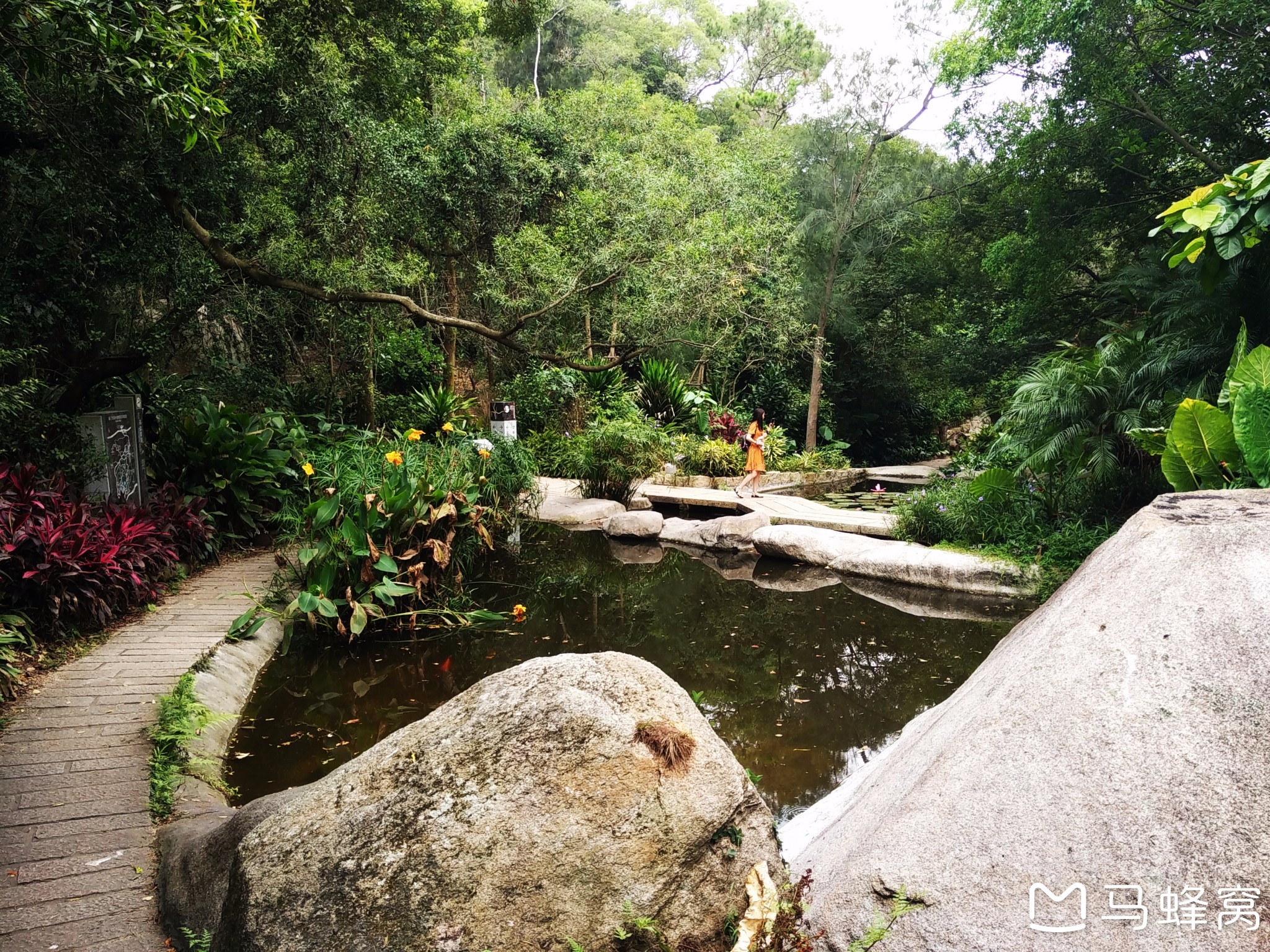 【厦门植物园】万石山,园林植物园,寻找网红仙人掌~(含干货行程安排)