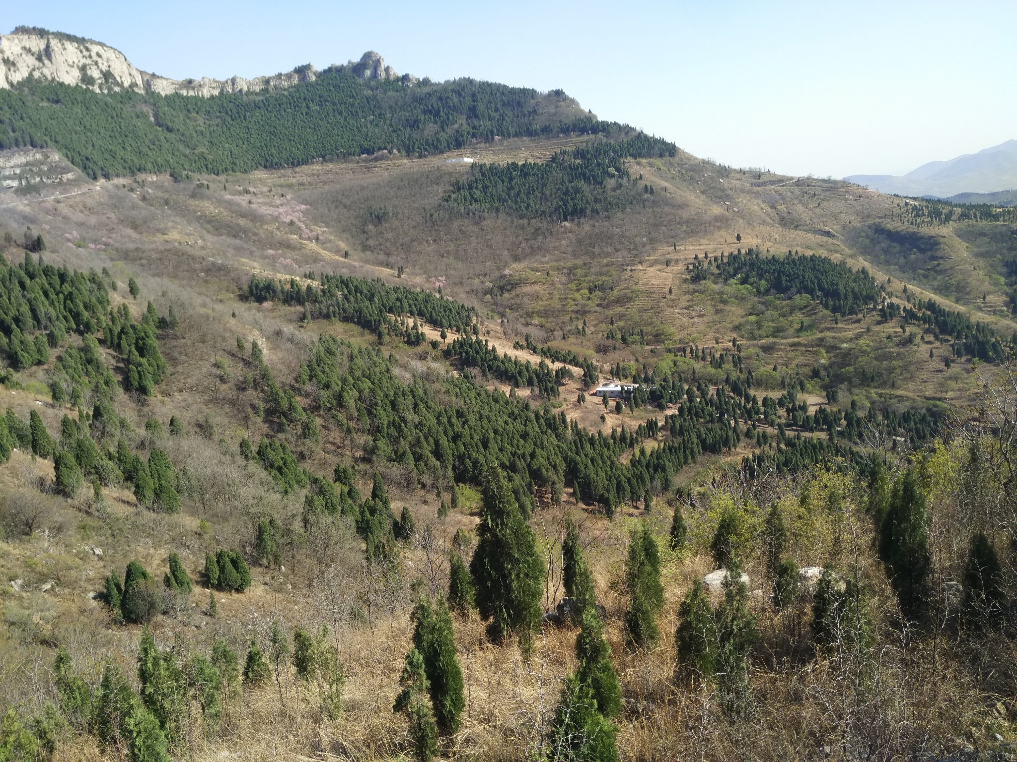 长清马山 马蜂窝