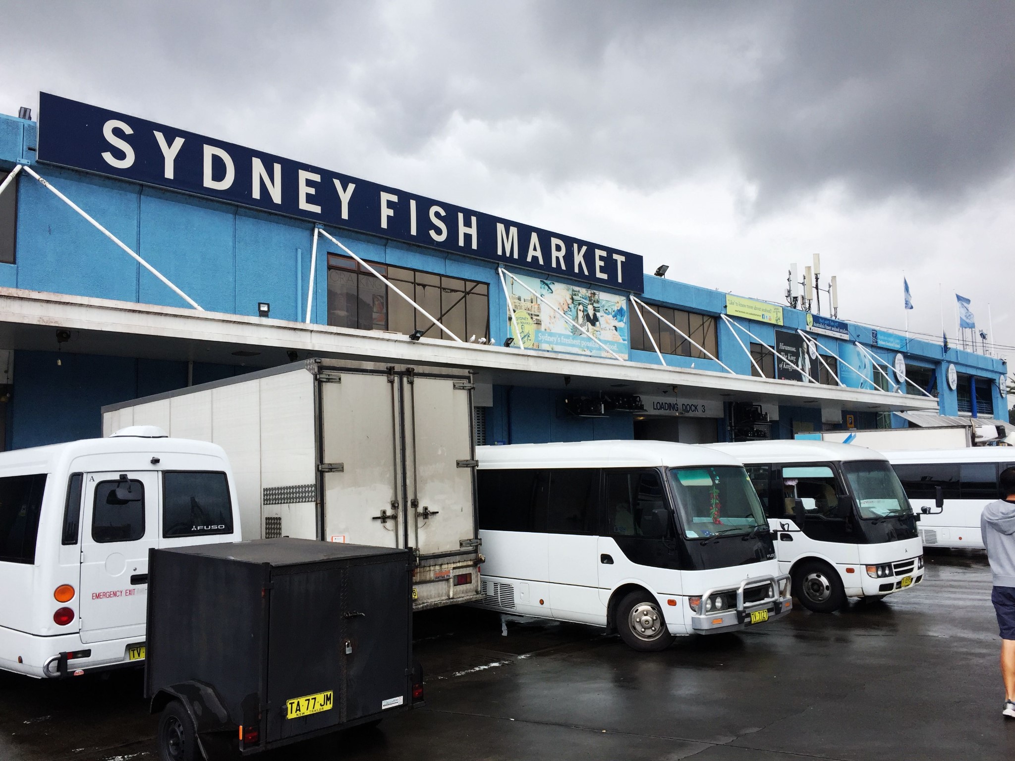 悉尼鱼市场(sydney fish market)