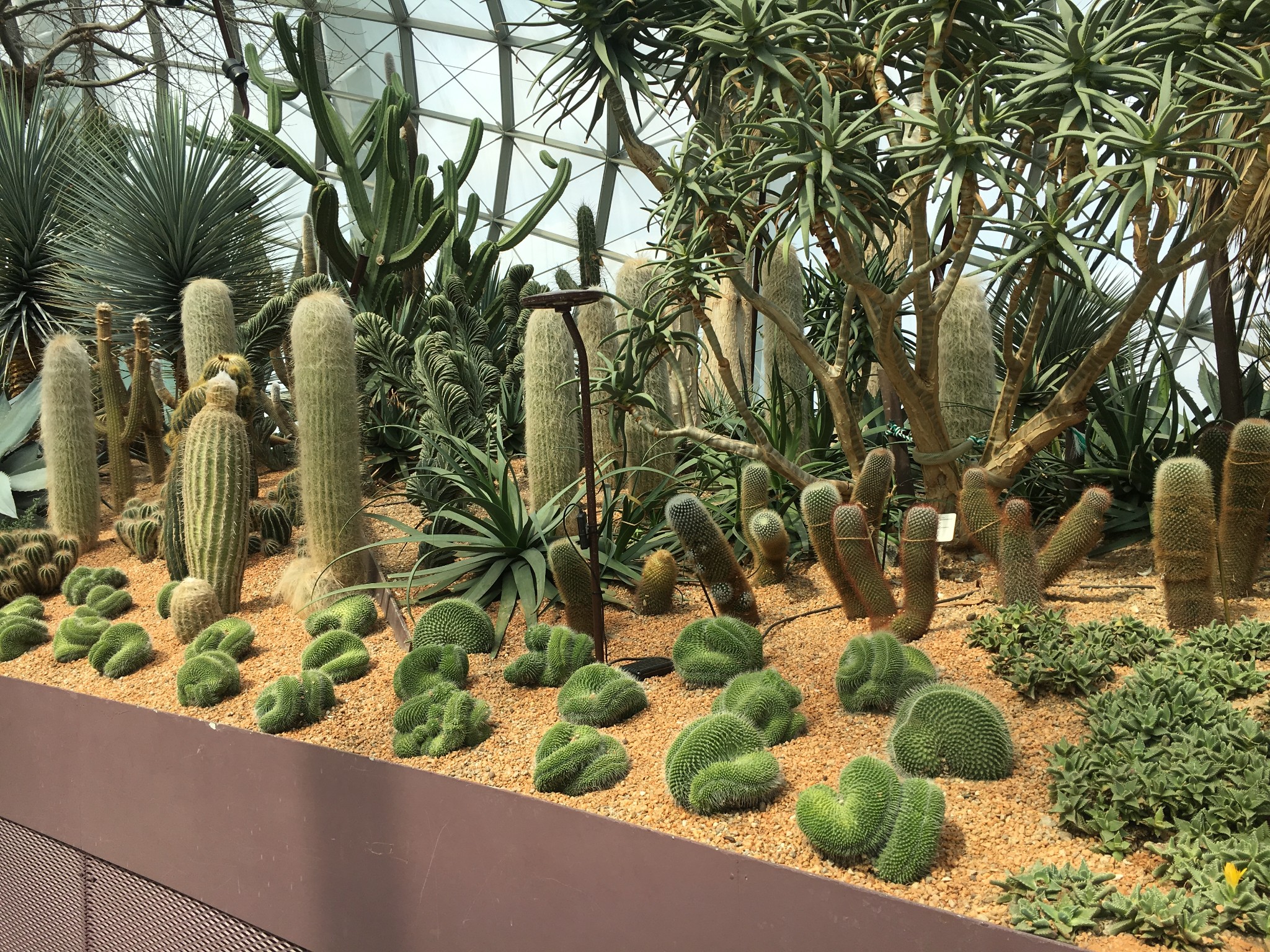 wKgBEFtoZNOACXd0ABX4dp2kxo825.jpeg?imageView2%2F2%2Fw%2F600%2Fh%2F600%2Fq%2F90