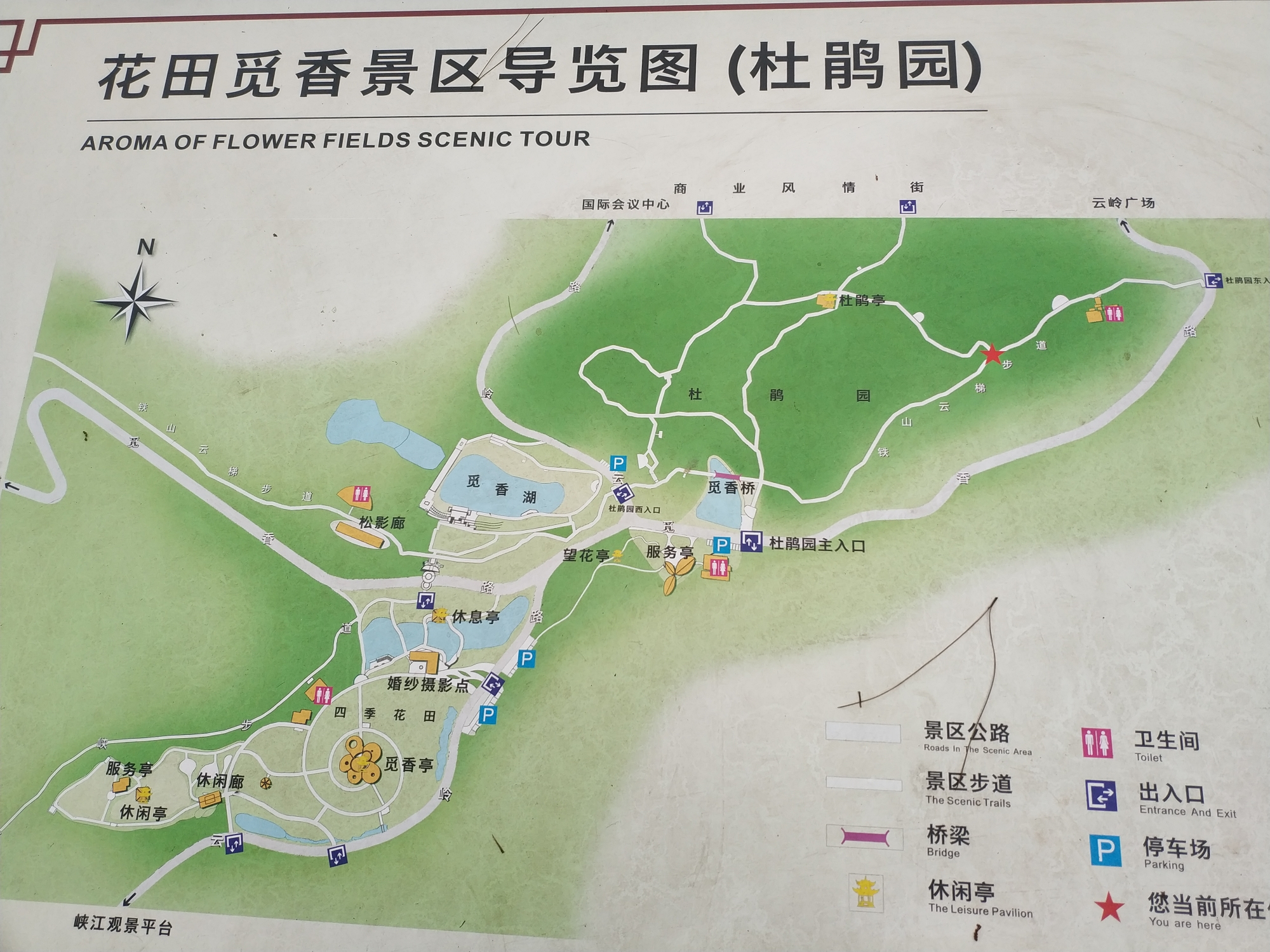铁山坪森林公园 登山记,重庆自助游攻略 - 马蜂窝