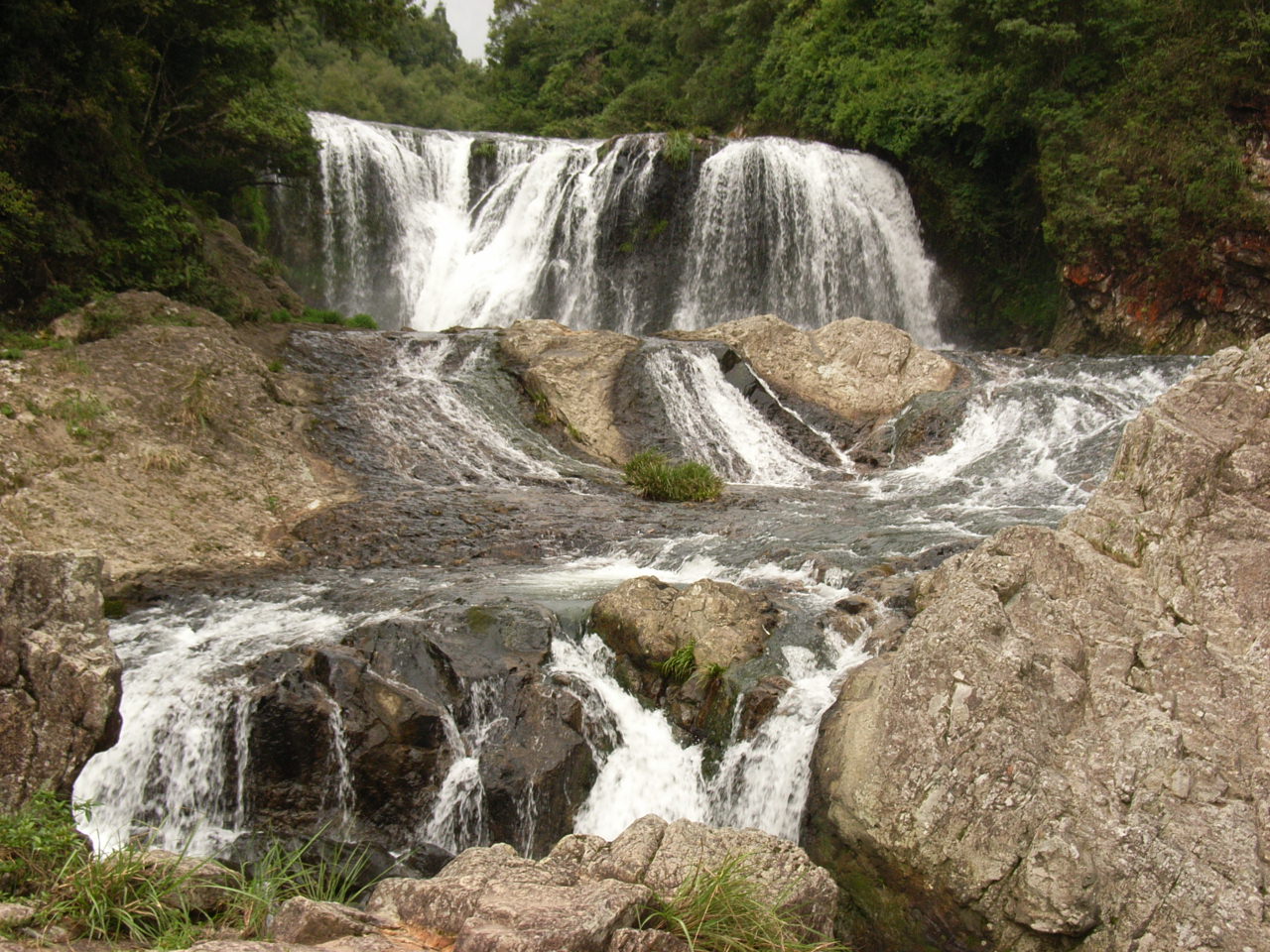 龙岩有多少人口_原神龙岩蜥岩抗多少(3)