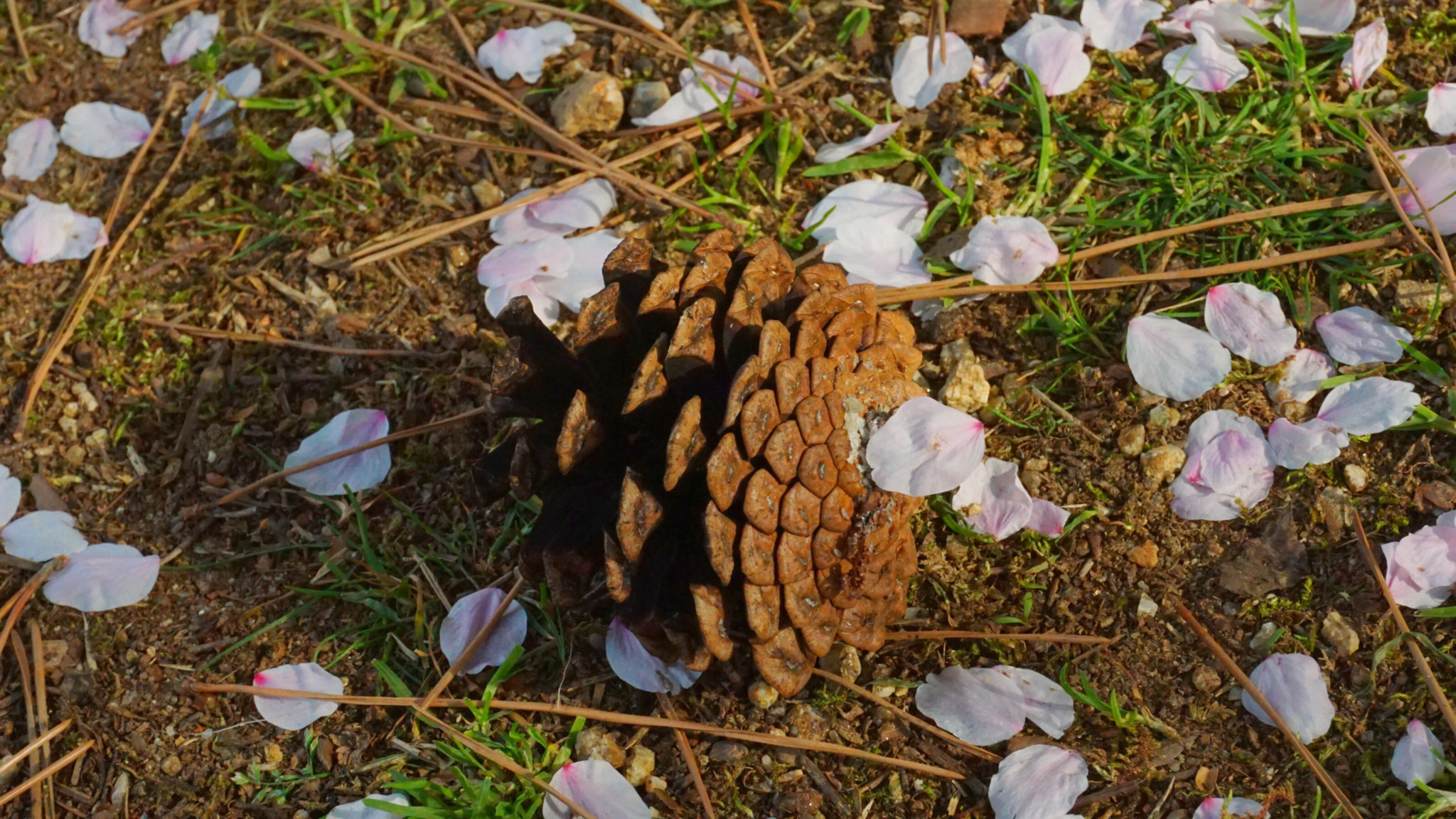 wKgBEFrXYIeAPw5jAA0R8zLU8ss00.jpeg?imageView2%2F2%2Fw%2F600%2Fh%2F600%2Fq%2F90
