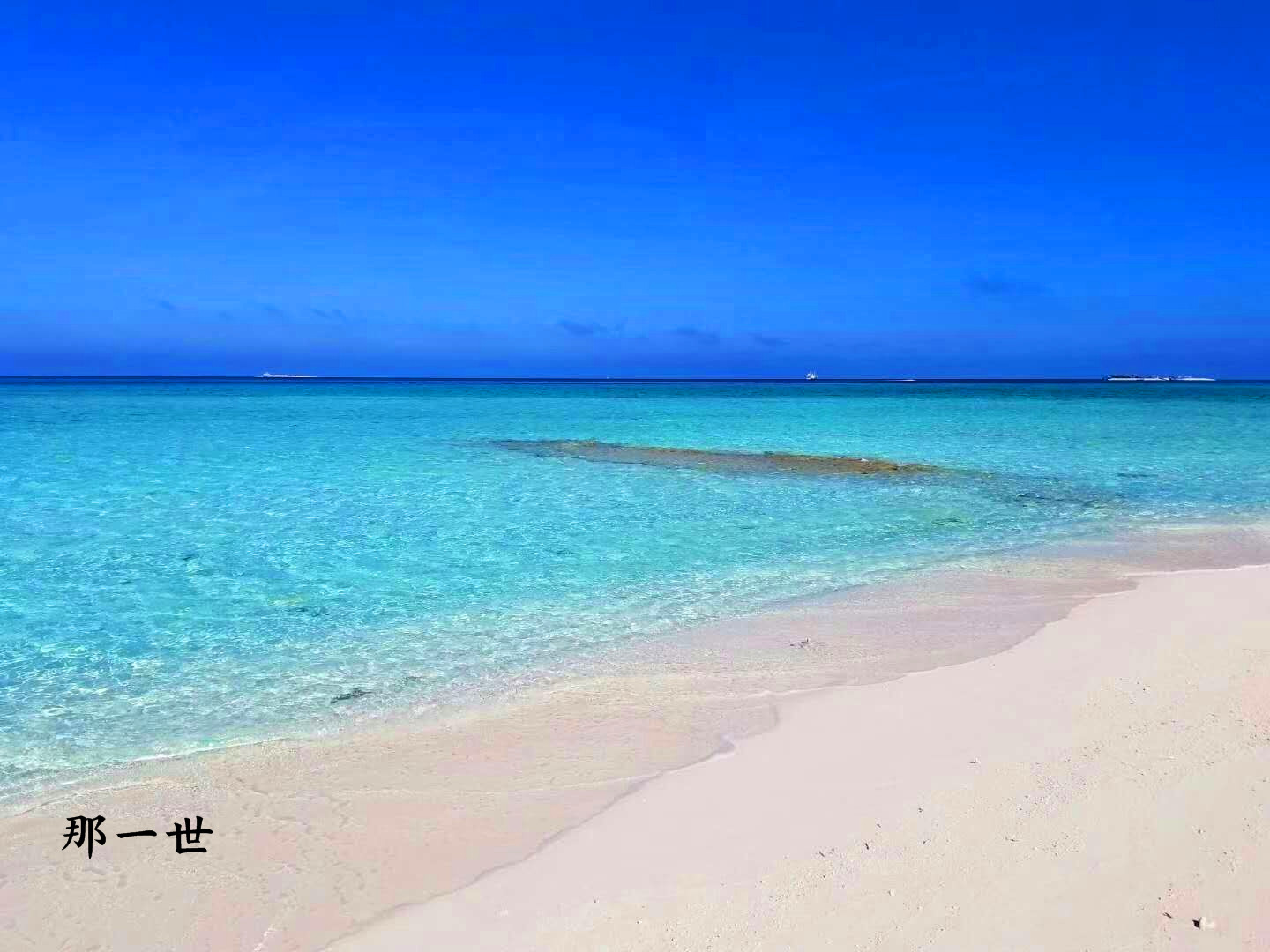 梦幻西沙潜水,海钓,露营8日深度游,西沙群岛旅游攻略 - 马蜂窝