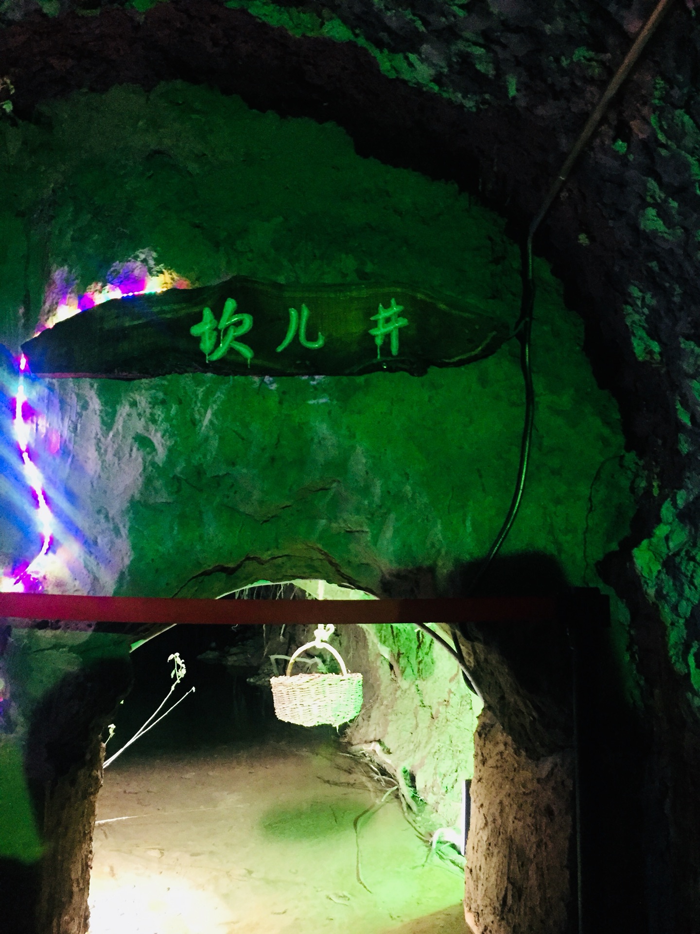七人口沙漠刺_一叶七刺图片(2)