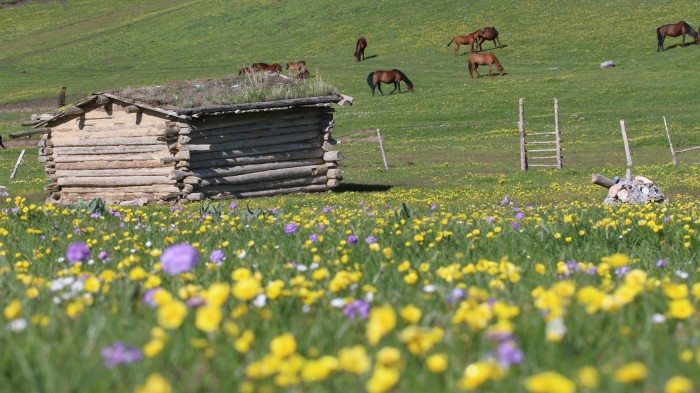 几月份去喀拉峻草原最合适?本人有点怕冷。