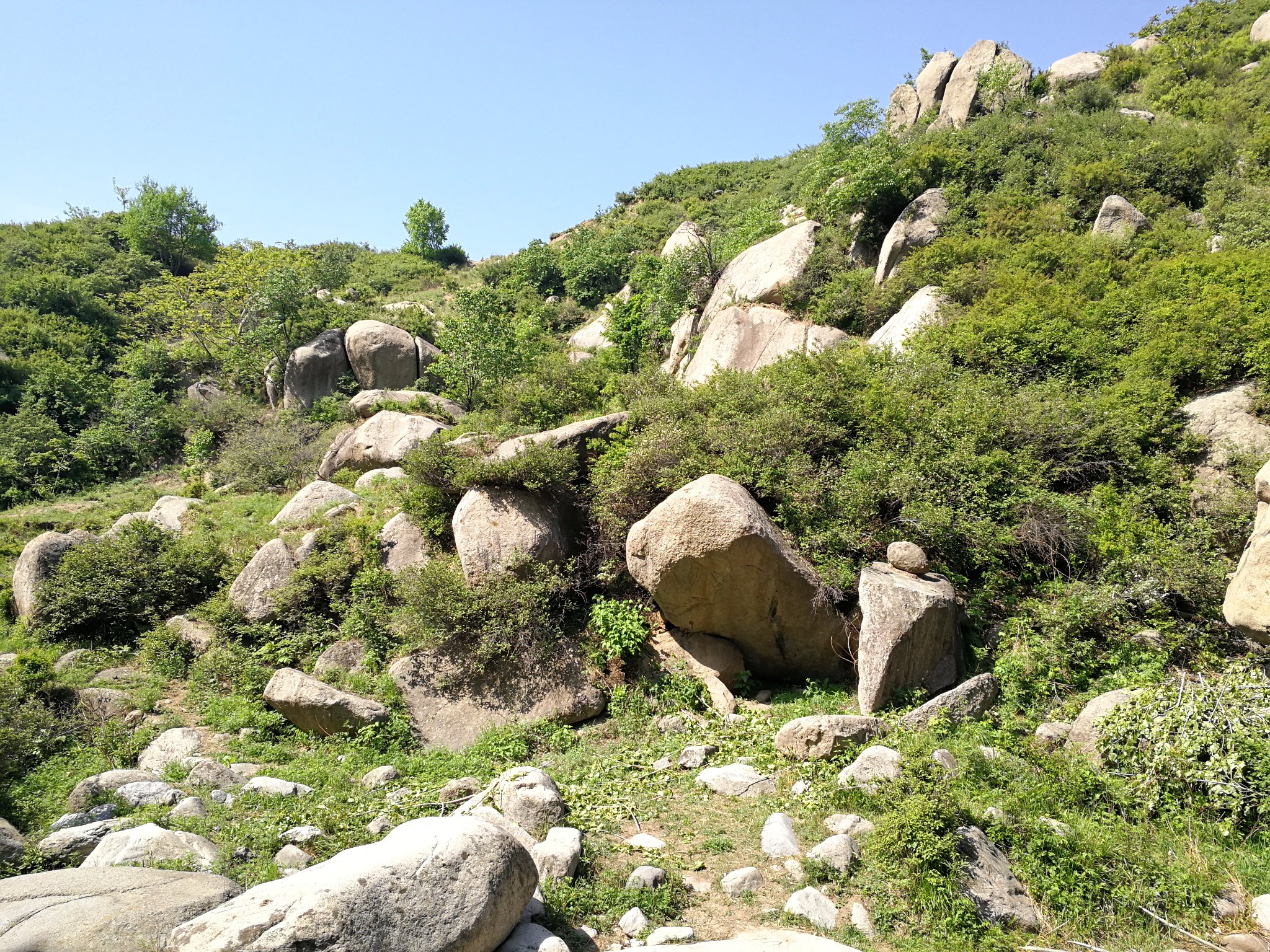 2018-035#蔡家峪摩天岭:探秘神秘的地方,泉水流淌,植物繁密,下山忽遇