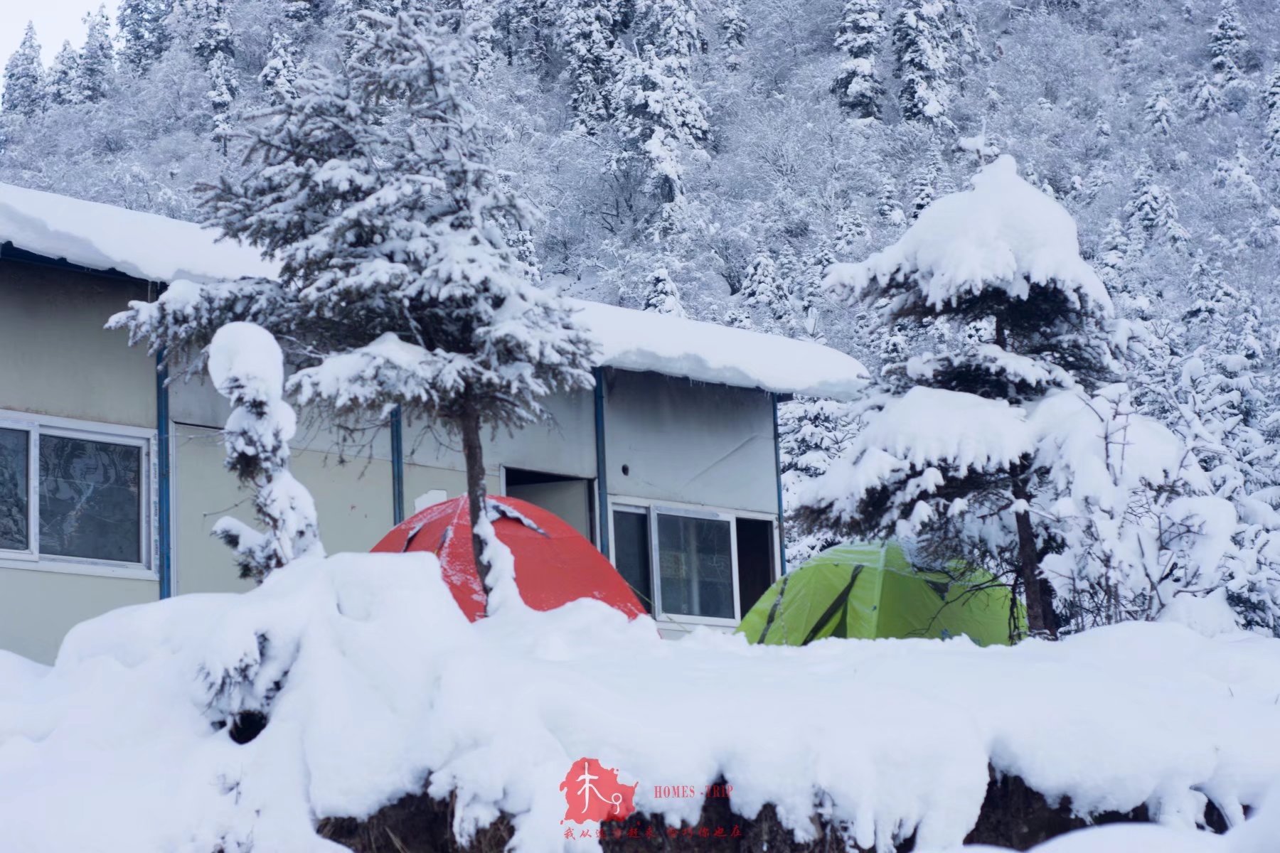 西岭雪山人均消费_西岭雪山(2)
