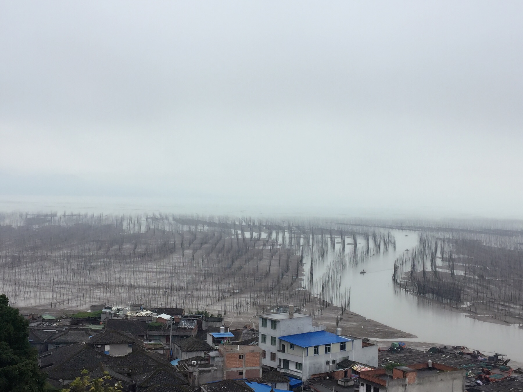 霞浦人口_霞浦滩涂图片