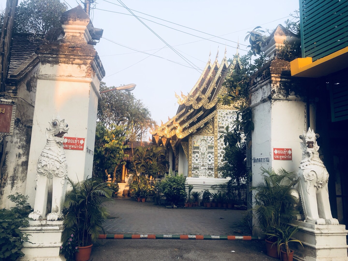 一杯红咖啡猜成语_一杯咖啡图片