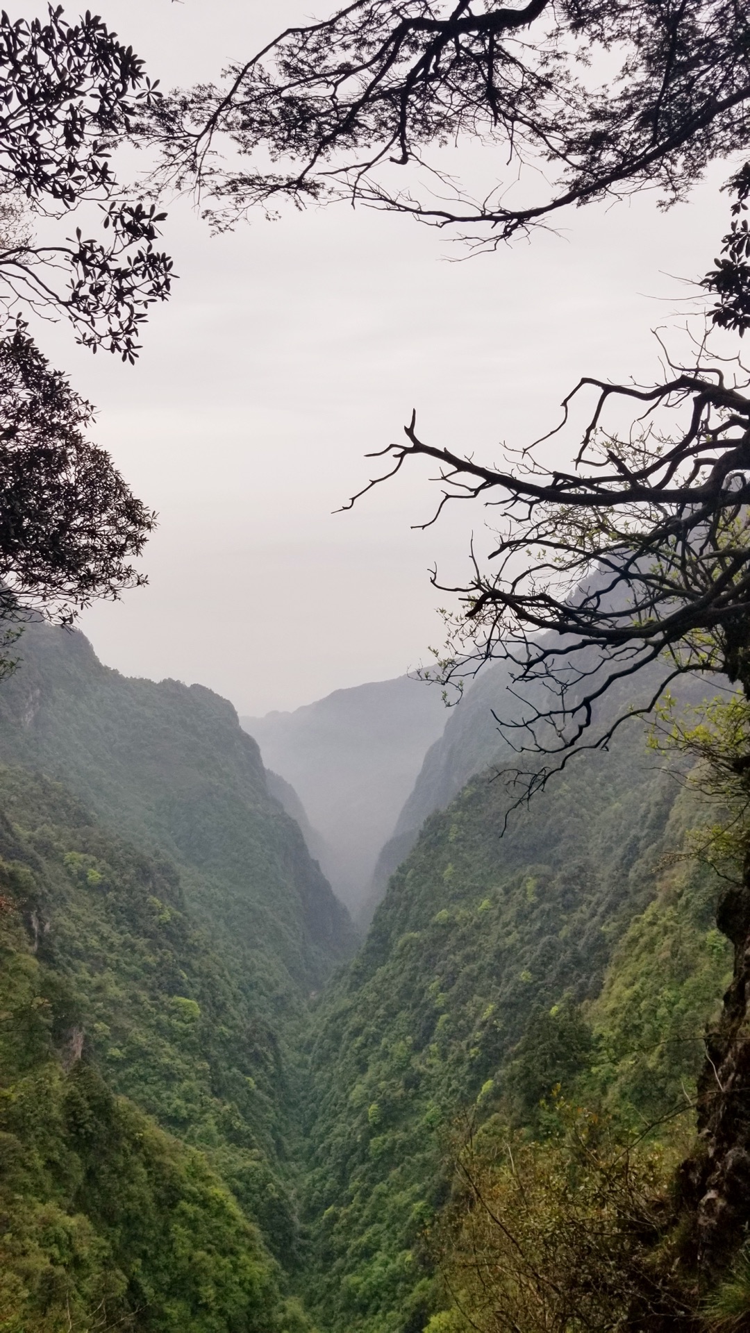 秀如眉黛-徒步峨眉山