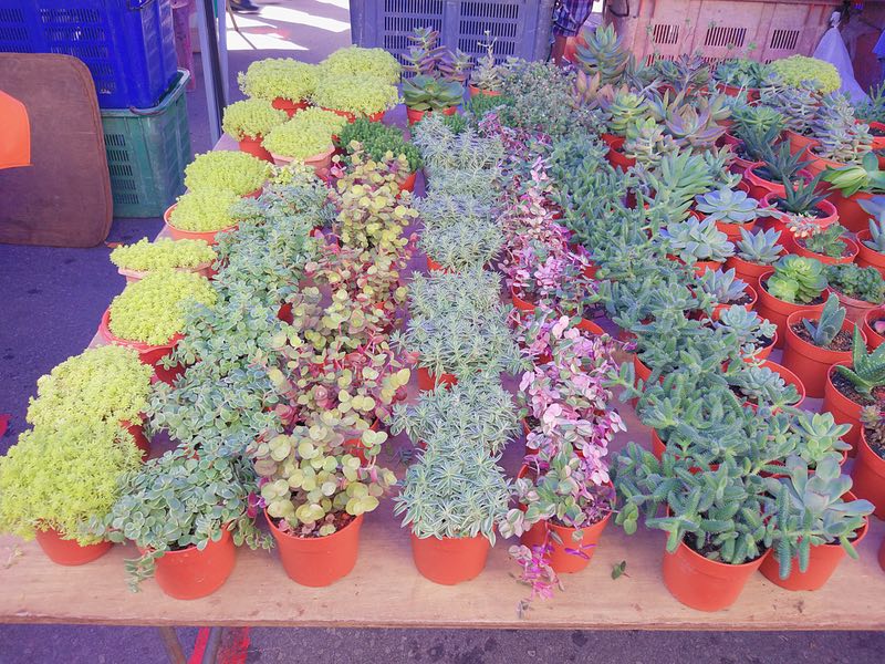 猜成语图片落日路_看图猜成语(3)